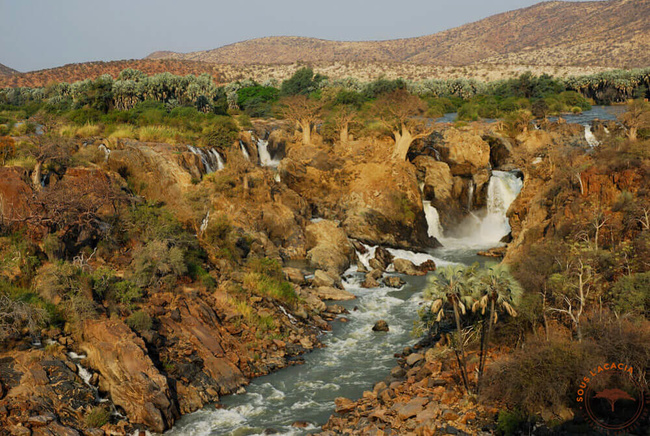 Les chutes d'Epupa @Sous l'Acacia