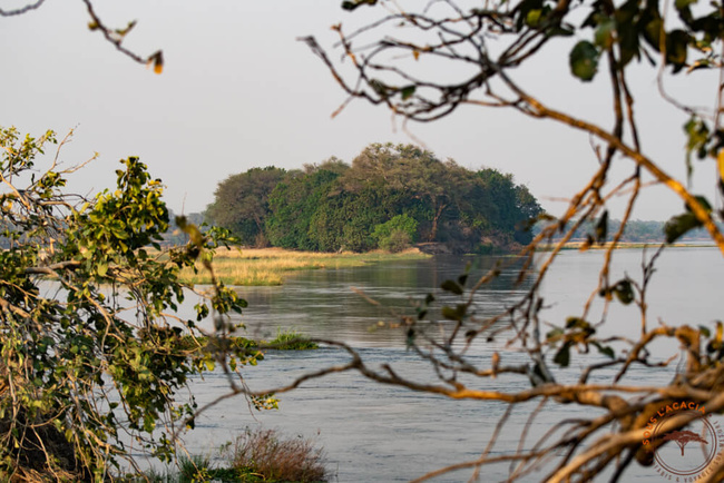 Le fleuve Zambèze @Sous l'Acacia
