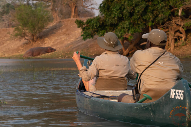 Canoë sur le Zambèze @Sous l'Acacia