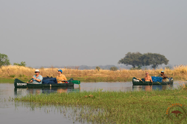 Descente en canoë sur le Zambèze @Sous l'Acacia