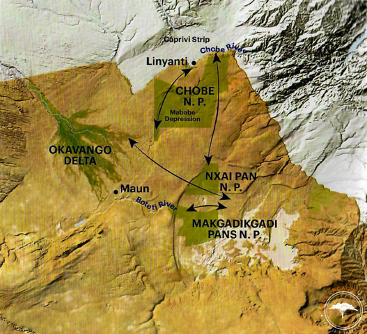 Routes empruntées par les zèbres durant la migration @Sous l'Acacia