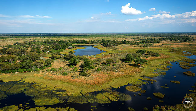 Les îles et les canaux se reforment dans le delta de l'Okavango au Botswana @Sous l'Acacia