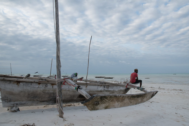 Dhow échoué @Sous l'Acacia