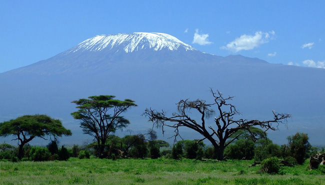 Vue sur le volcan Kibo en Tanzanie @Sous l'Acacia