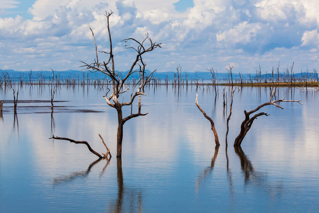 Lac Kariba @Sous l'Acacia