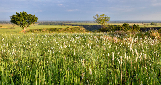 Faille de Kyambura ©Sous l'Acacia