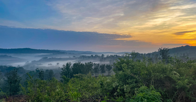 Forêt de Kibale ©Sous l'Acacia
