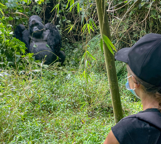 Face au dos argenté ©Sous l'Acacia