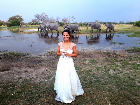 Avis clients sur un safari, voyage de noce au Botswana @Sous l'Acacia